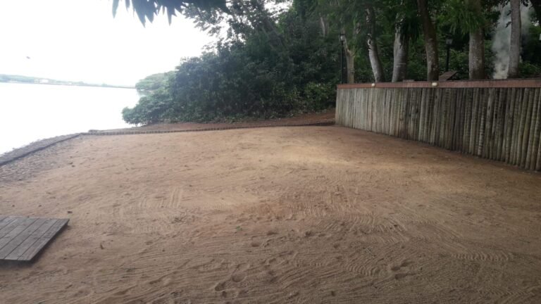 WhatsApp Image 2024-05-17 at 06.52.51